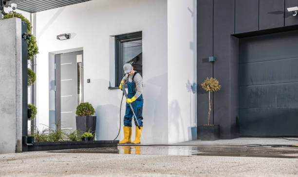 Best Dumpster Area Cleaning  in De Kal, TX